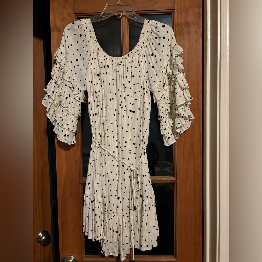 Ruffle sleeve polka dot dress